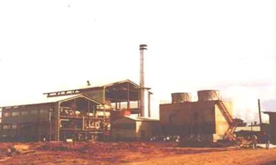 Projects Korindo Cogeneration Plant (6 MW) / Asski irian Jaya, Indonesia 1 link_project_2